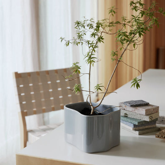 Riihitie Plant Pot B – Aino Aalto