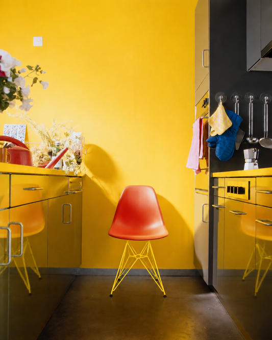 DSR – Charles & Ray Eames