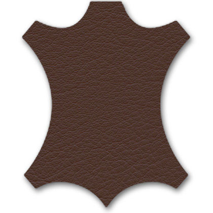 EA 208