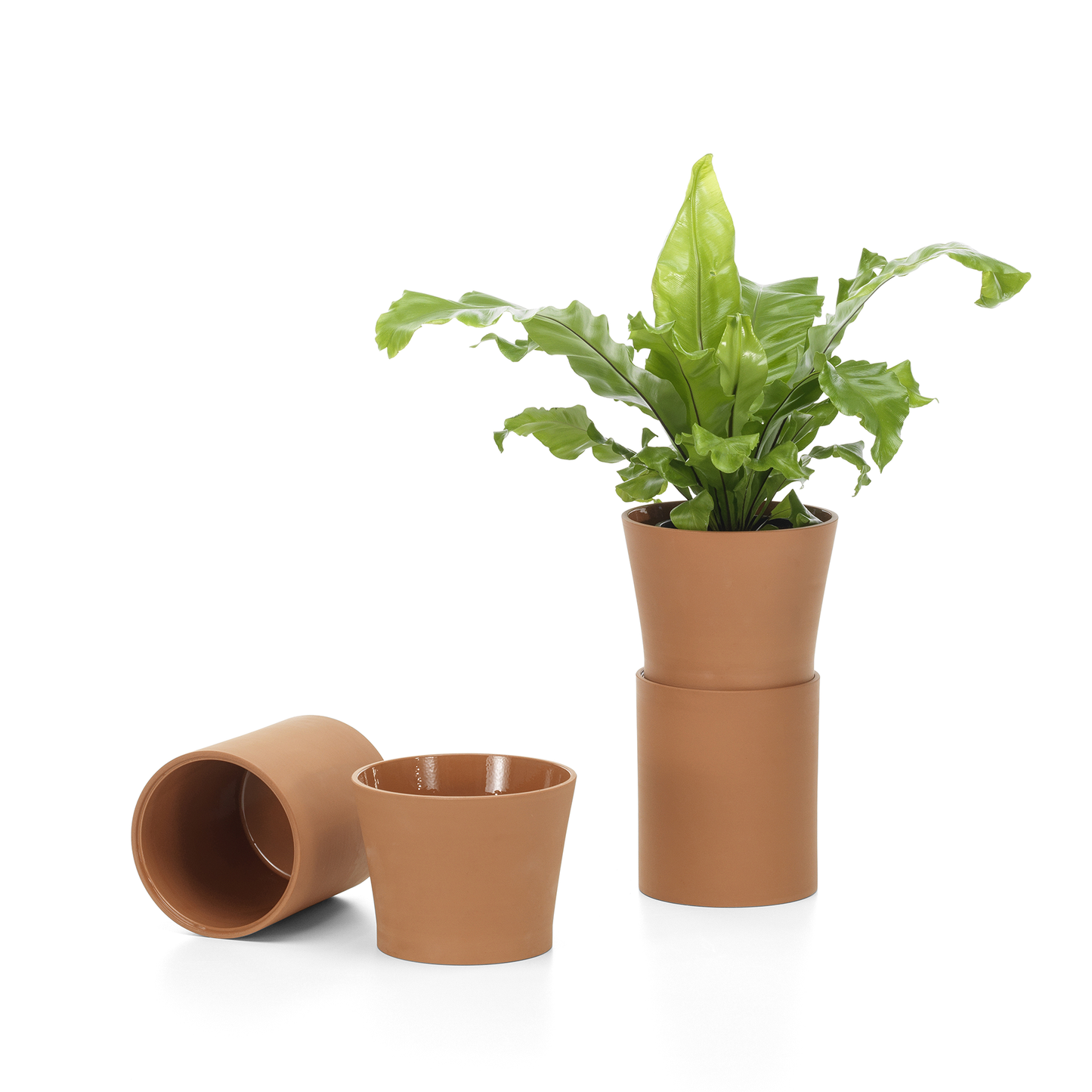 Terracotta Pot M