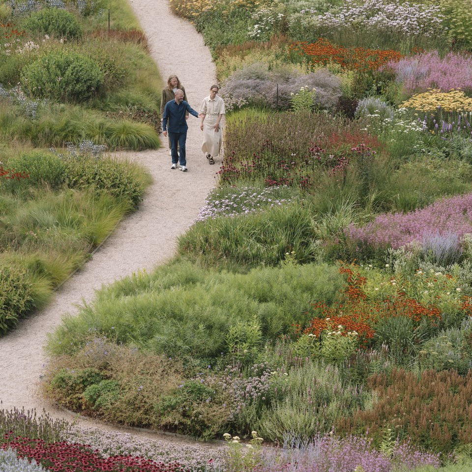 Natural Soap Ever Green