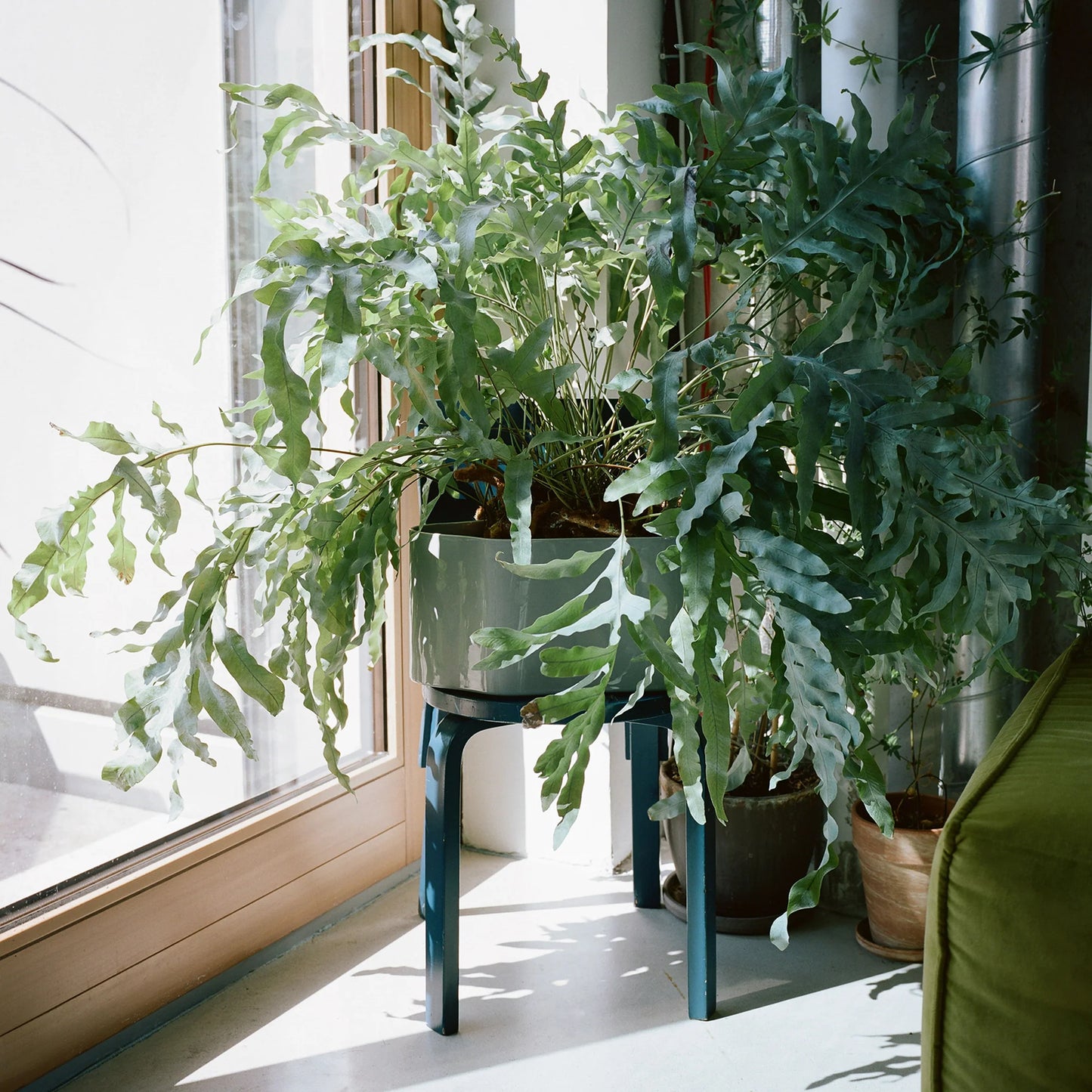 Riihitie Plant Pot A