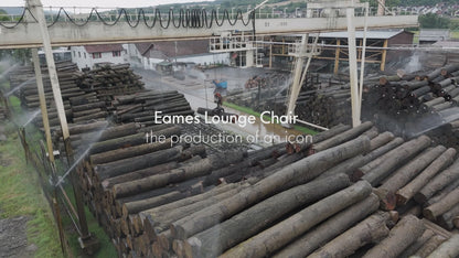 Lounge Chair & Ottoman